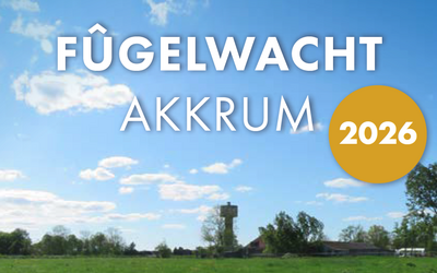 schermafbeelding-2026-03-10-om